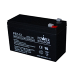 Аккумулятор Power Kingdom для ИБП 12V/7Ah